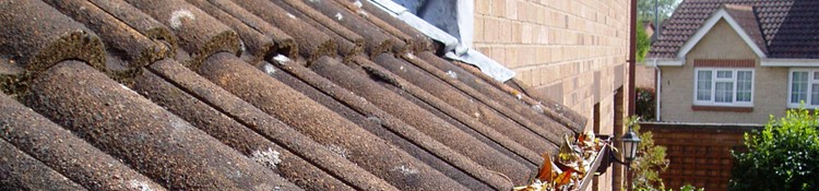 Roofing & Insulation